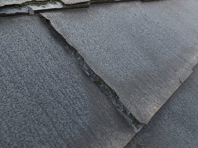 パミールを横から見ると浮き上がっている様子がわかる